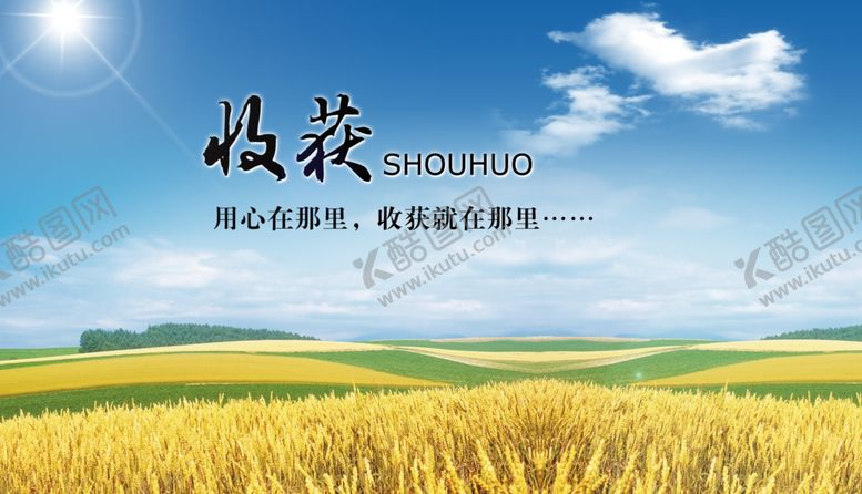 编号：64936610220711545643【酷图网】源文件下载-蓝天白云金黄稻谷丰收收获