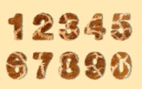 毛绒数字