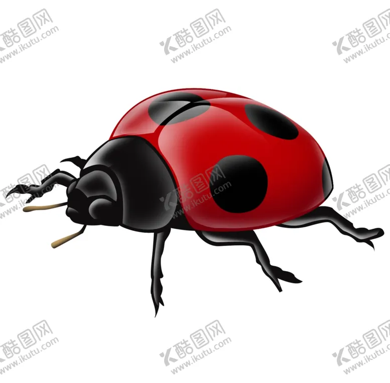 编号：76741705122013493986【酷图网】源文件下载-七星瓢虫插画