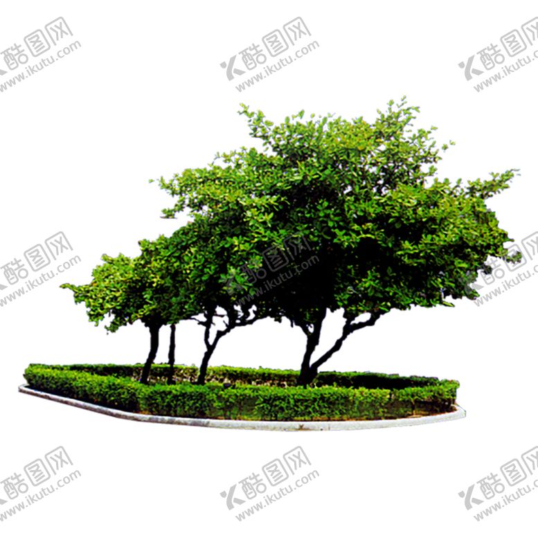 编号：72121909252039563833【酷图网】源文件下载-绿色相框