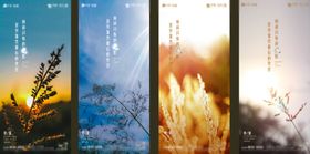 节气秋天植物光地产