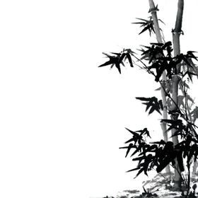 竹子竹林绿色竹叶风景