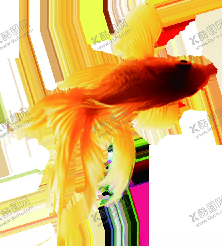 编号：71944404171046407697【酷图网】源文件下载-水墨墨迹鲤鱼