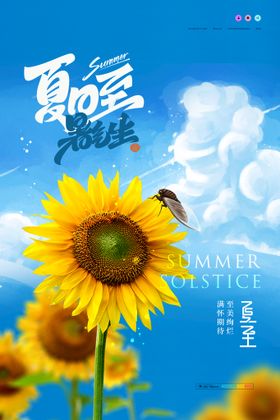 简约清新向日葵夏至节气海报荷叶夏天的云