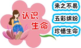 认识汉字 