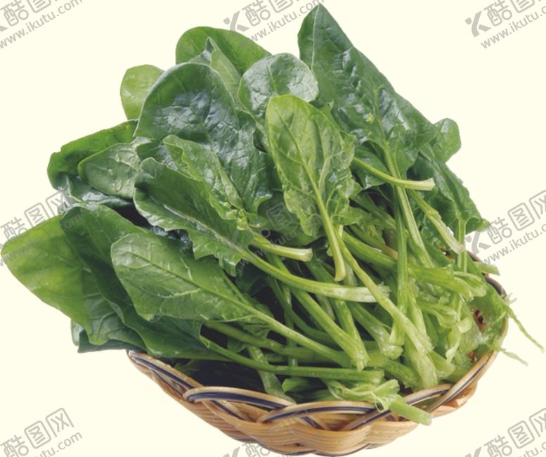 编号：28724306151717058510【酷图网】源文件下载-新鲜菠菜