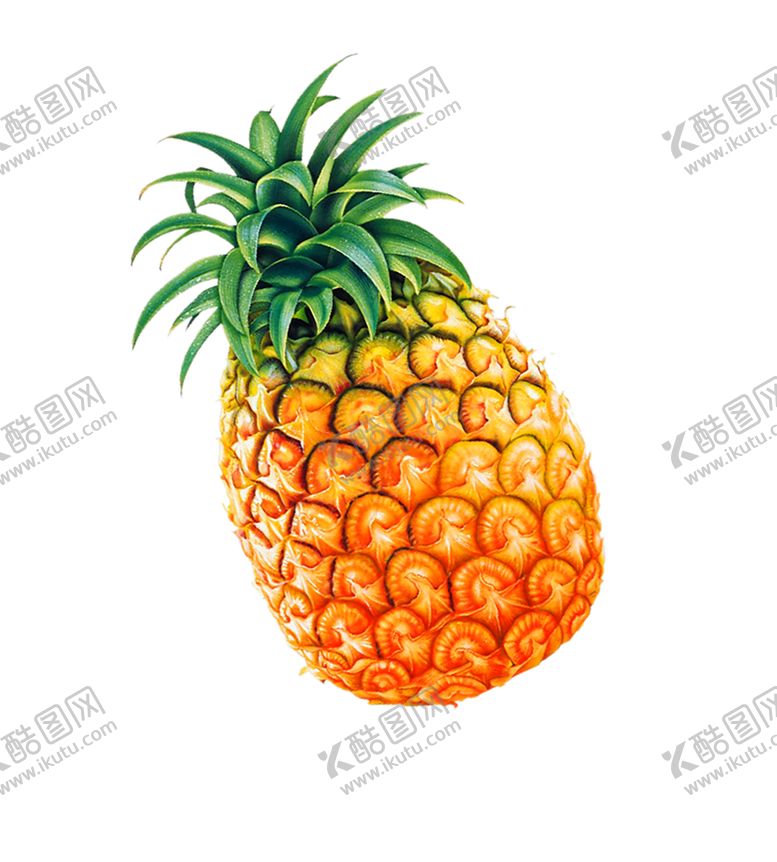 编号：21343309290842108285【酷图网】源文件下载-水果