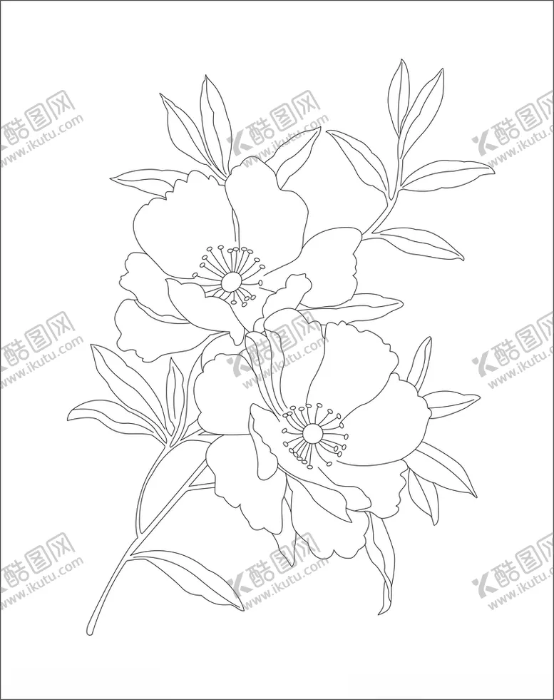 编号：82889903261538188752【酷图网】源文件下载-花枝线稿