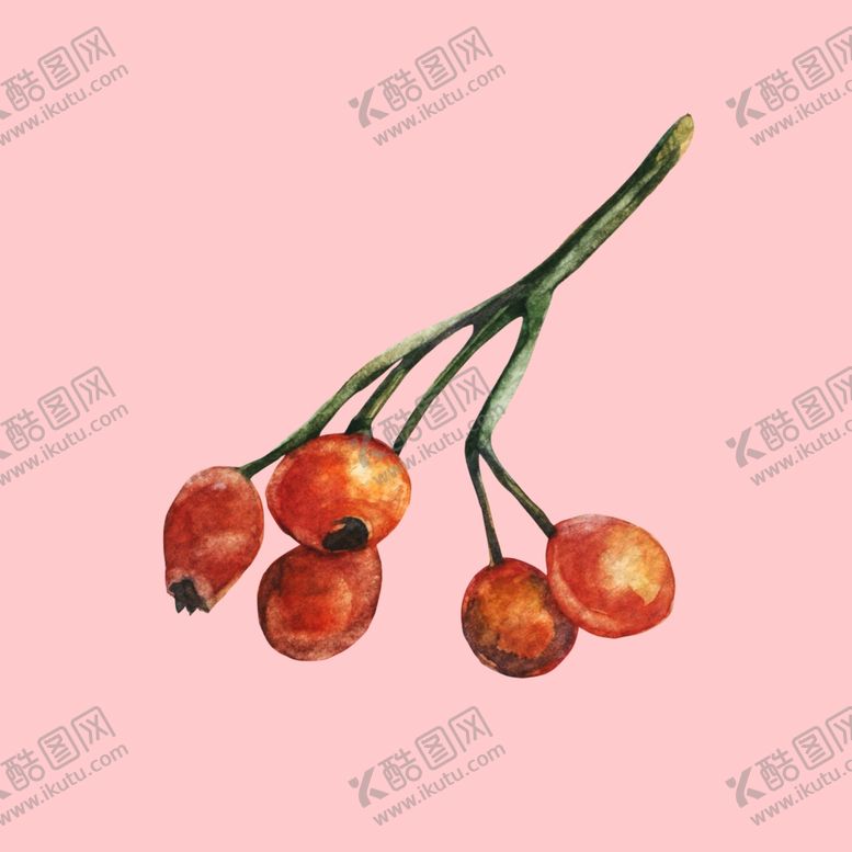 编号：57221507131045203358【酷图网】源文件下载-水彩植物
