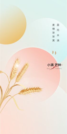 芒种节气宣传海报展板