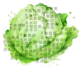 水彩手绘蔬菜包菜花菜