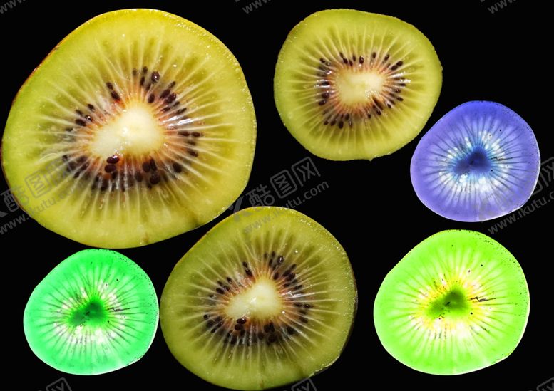 编号：53640311011344105797【酷图网】源文件下载-猕猴桃