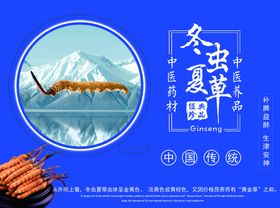 冬虫夏草宣传图