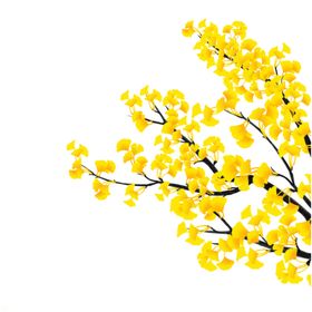 插画素材橘子植物叶子明信片风