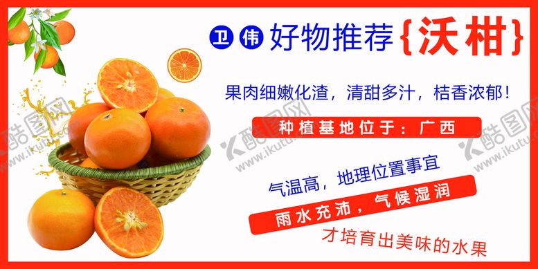 编号：09678309160532346724【酷图网】源文件下载-沃柑橘子