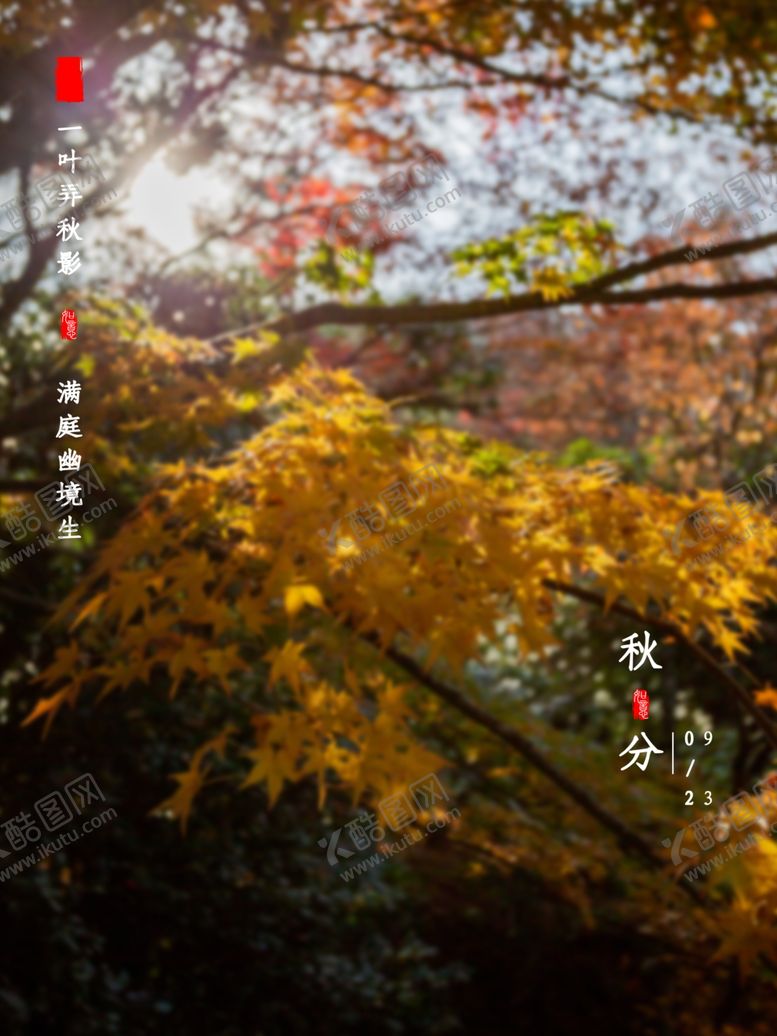 编号：24844802060510302284【酷图网】源文件下载-实景拍摄秋分节气海报