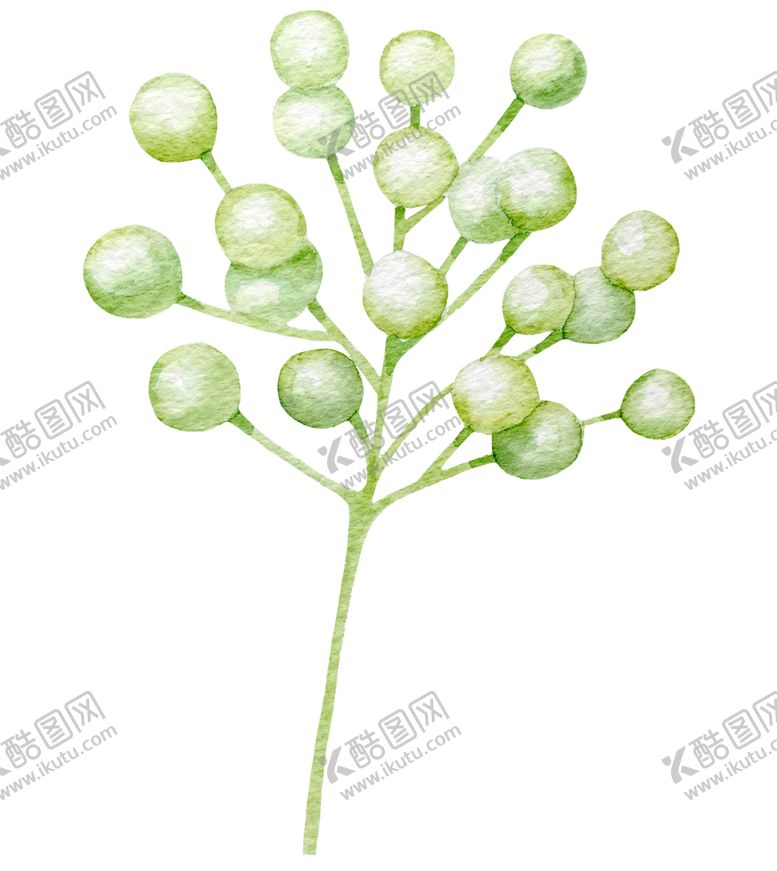编号：27115709110748151016【酷图网】源文件下载-手绘植物