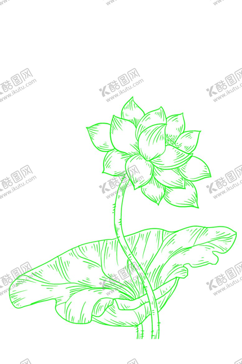 编号：50120601250736501911【酷图网】源文件下载-荷花简笔