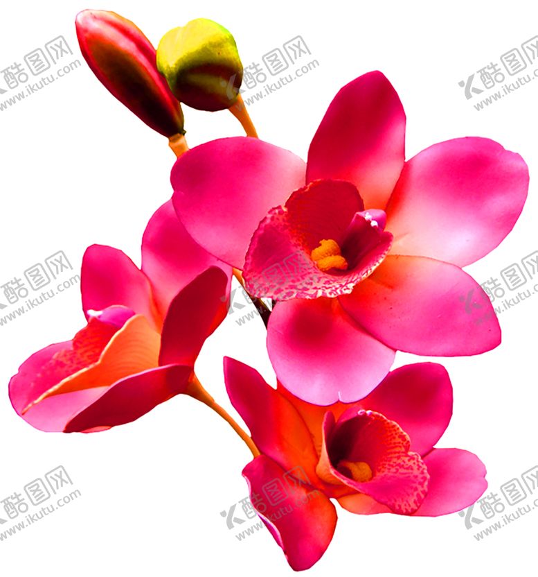 编号：14969405150405369553【酷图网】源文件下载-鲜花装饰