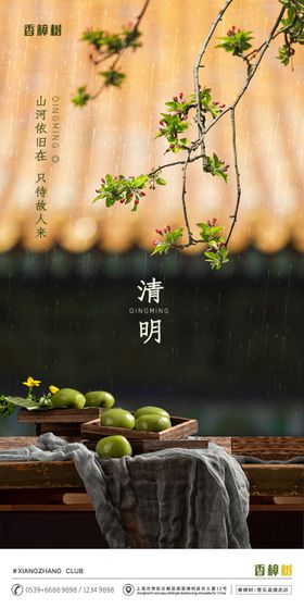 清明节踏青插画移动端海报