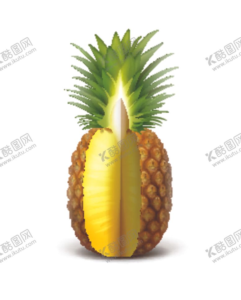 编号：86013304170007079218【酷图网】源文件下载-凤梨菠萝水果