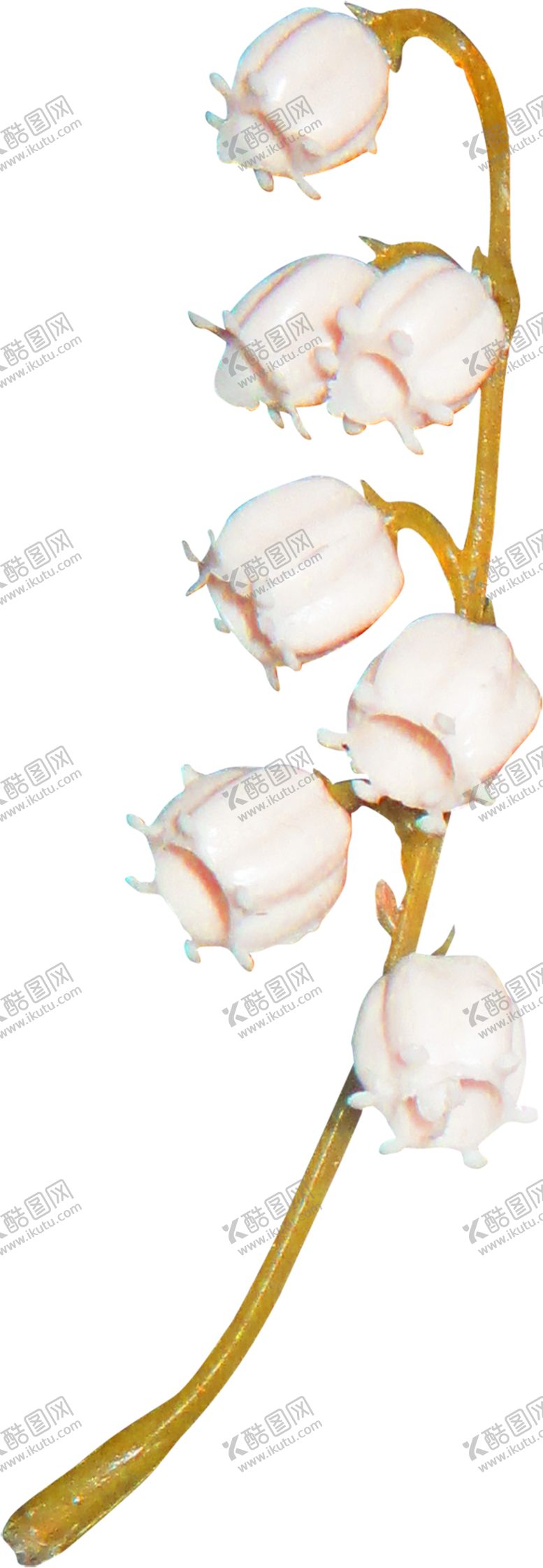 编号：34291605101242425491【酷图网】源文件下载-鲜花素材