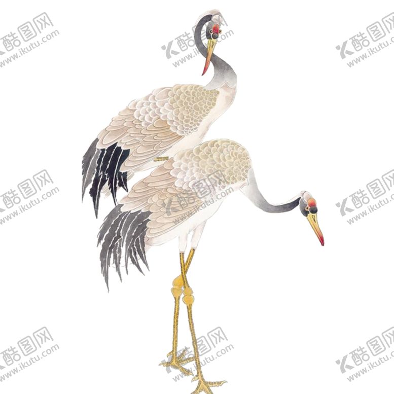 编号：10169806260838185271【酷图网】源文件下载-仙鹤图片