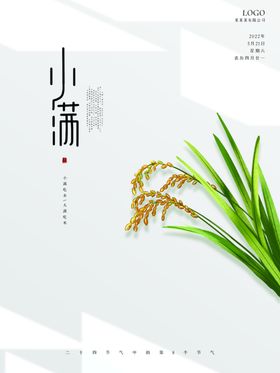 稻谷小满海报