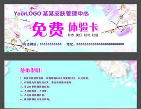 皮肤代金券