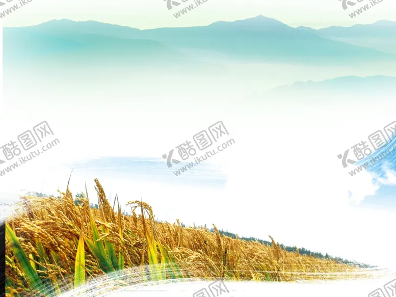 编号：10121612100142452479【酷图网】源文件下载-稻谷水墨背景