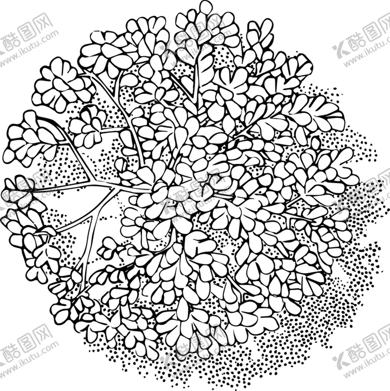 编号：61022606242255379933【酷图网】源文件下载-手绘植物