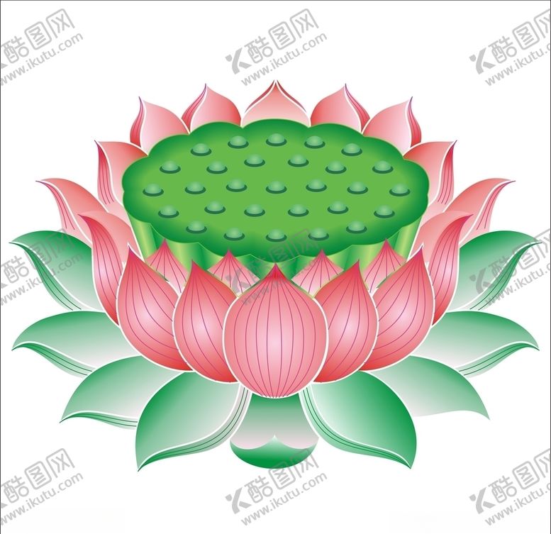 编号：46767010290907143456【酷图网】源文件下载-莲花