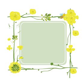 边框