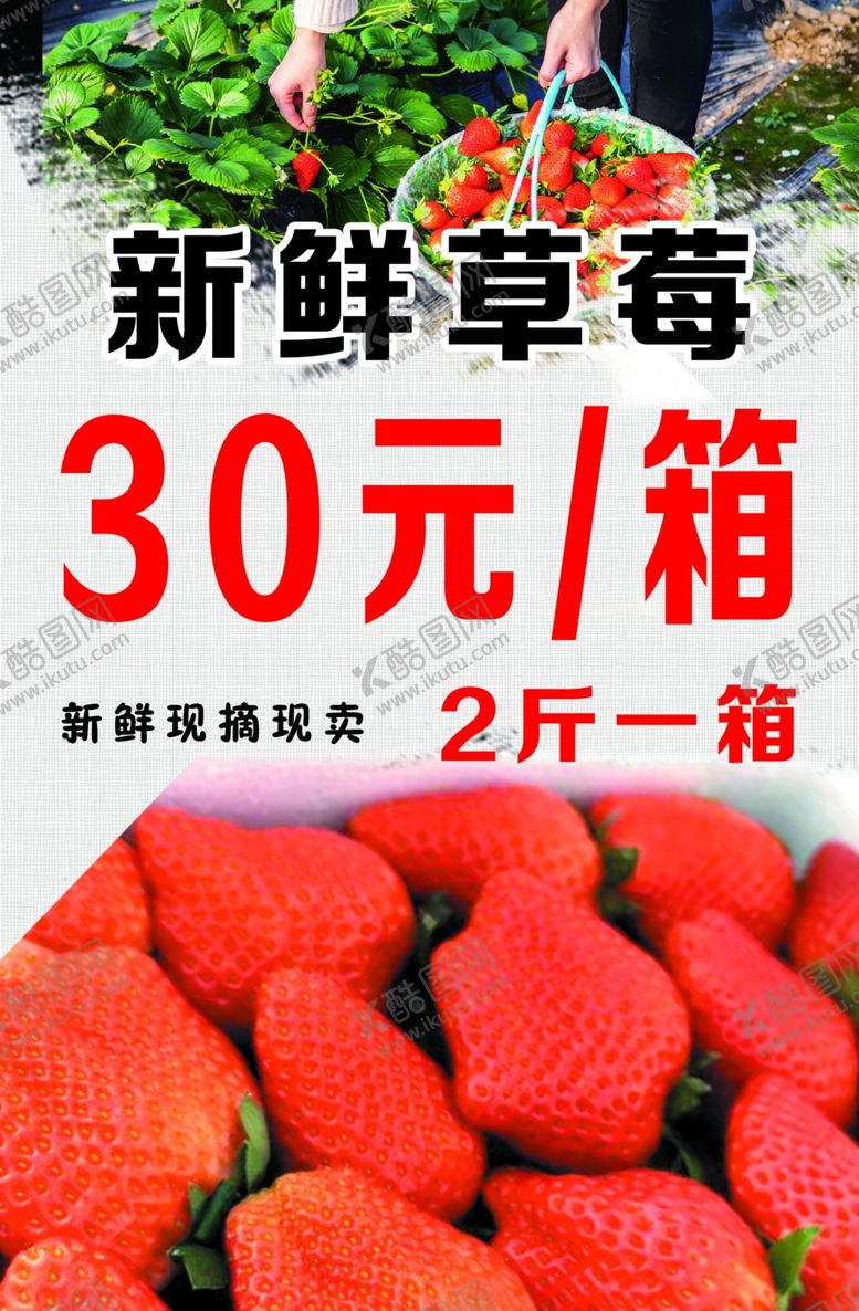 编号：33334202262055333534【酷图网】源文件下载-草莓广告