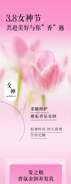 3.8女神节