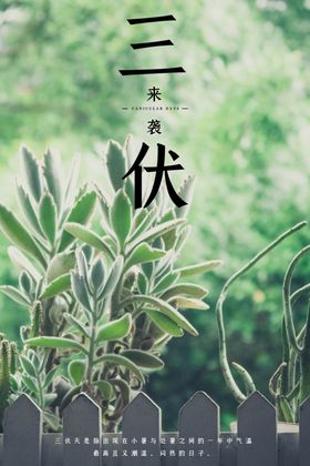 初伏海报素材入节气
