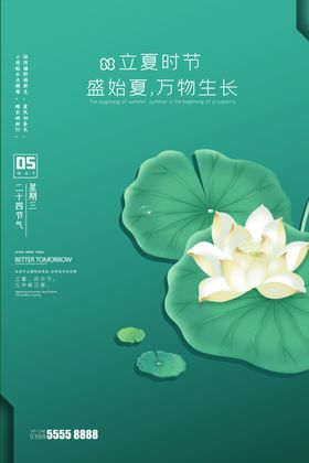 立夏海报小暑惊蛰地产广告