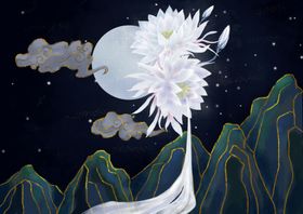 荷花莲花背景夜景