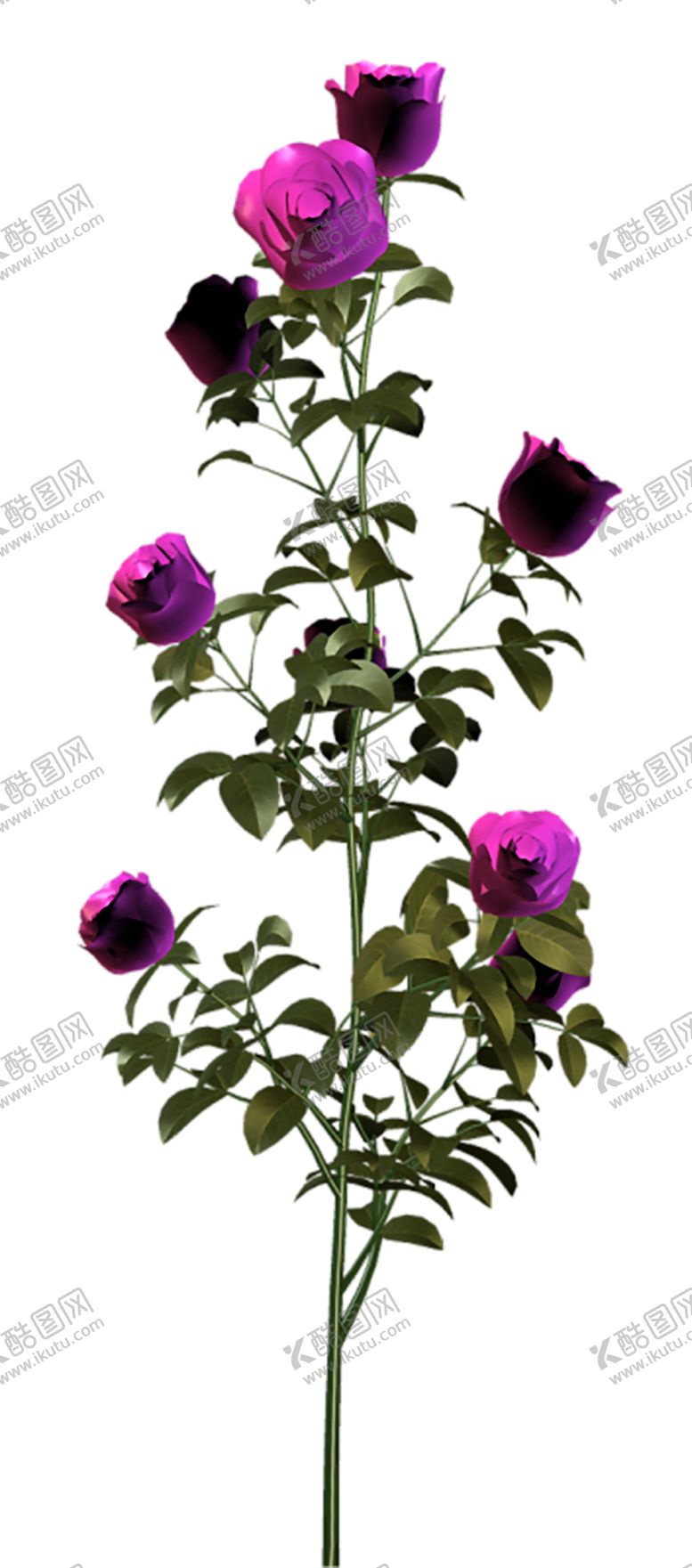 编号：91766705182031363887【酷图网】源文件下载-鲜花素材