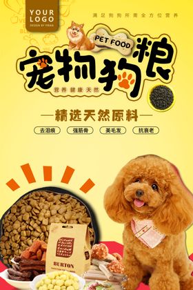 宠物海报