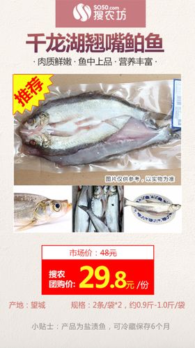 高佣主推千龙湖翘嘴鱼
