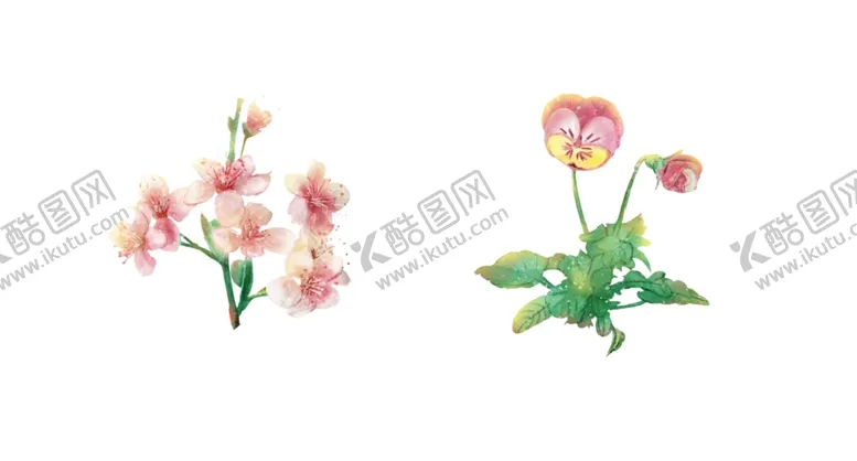 编号：30782512130650378332【酷图网】源文件下载-水彩花卉
