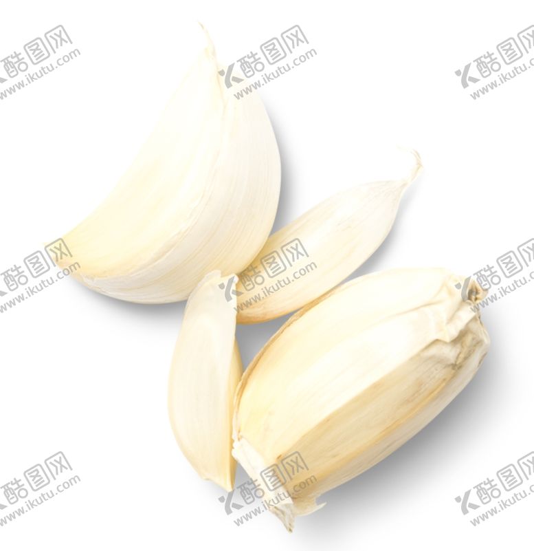 编号：61354909191532451221【酷图网】源文件下载-大蒜