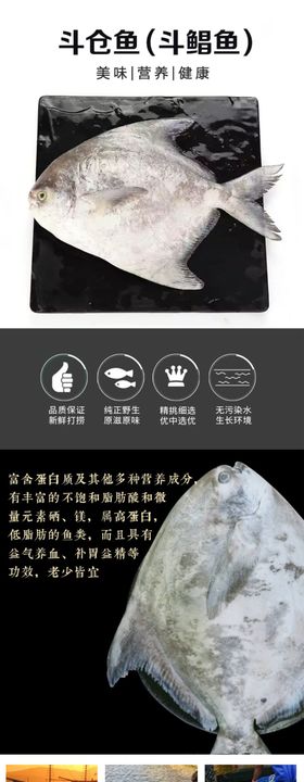 斗鲳鱼斗仓鱼详情页设计