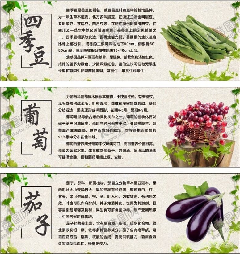 编号：44082312181737168675【酷图网】源文件下载-四季豆葡萄茄子