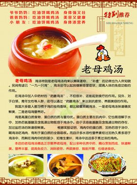 油饼母鸡汤