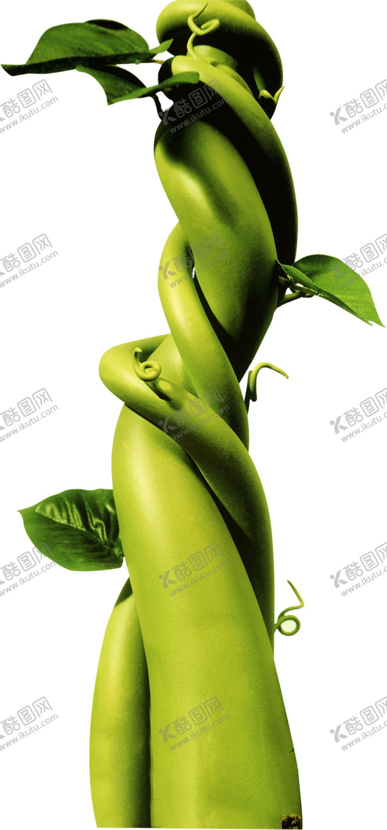 编号：62152006181315375177【酷图网】源文件下载-绿色相框