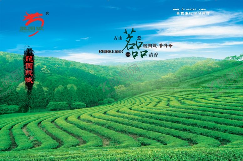 编号：10980610232301348268【酷图网】源文件下载-茶山