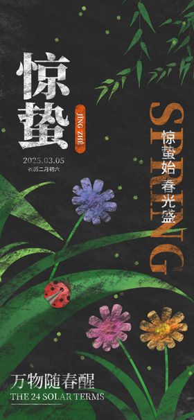 惊蛰海报