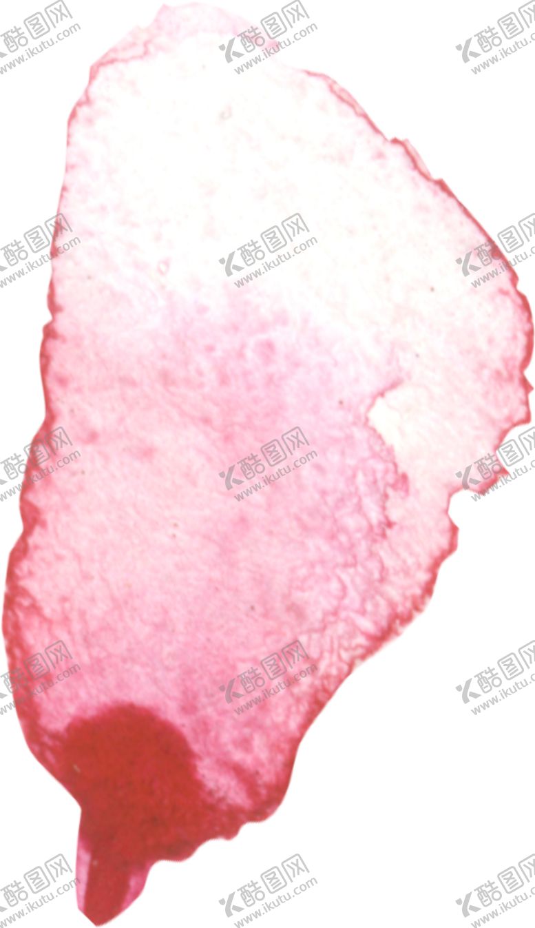 编号：97647805131704561266【酷图网】源文件下载-水彩手绘花卉花朵植物